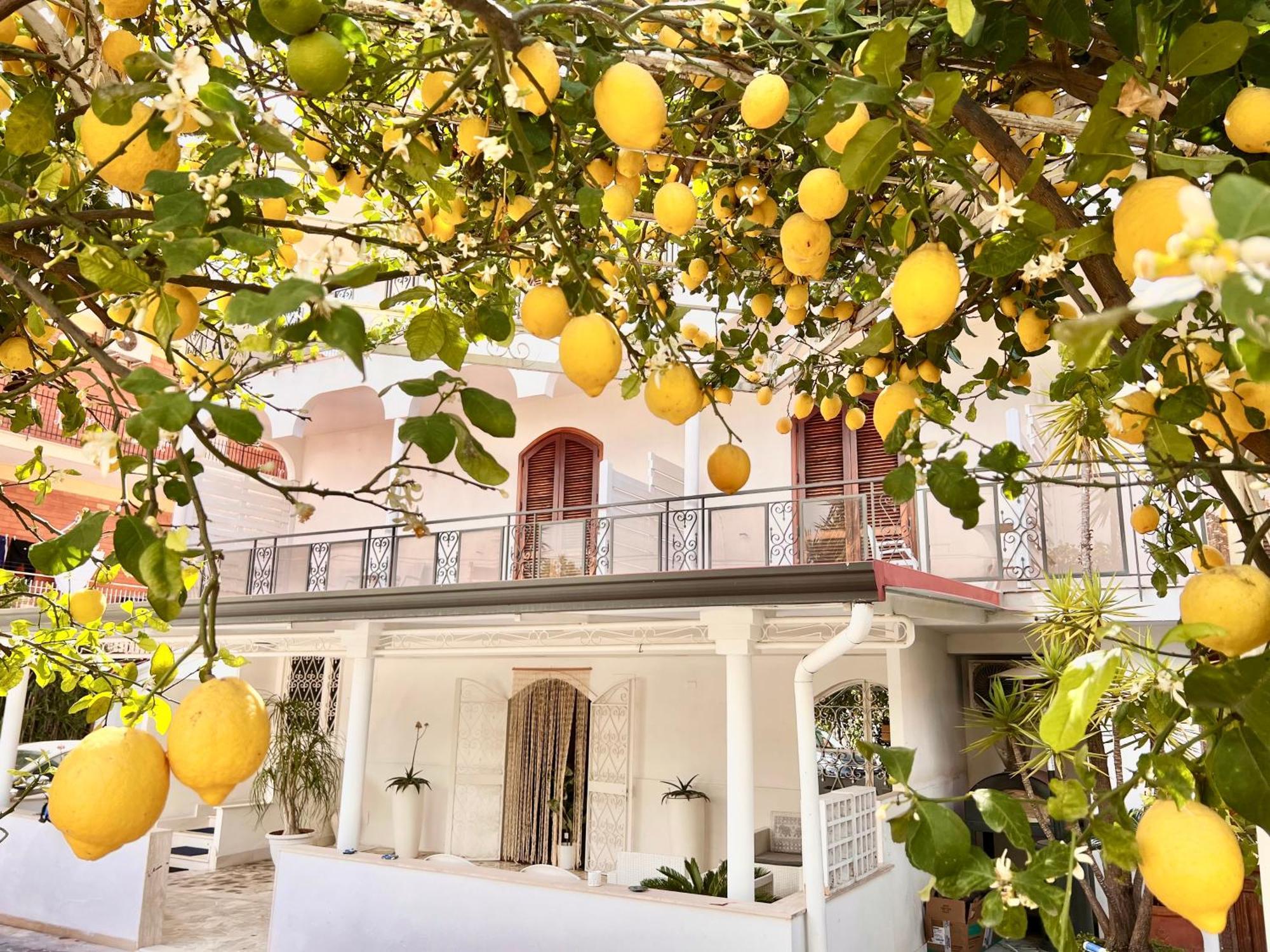 Villa Miriam Gragnano Eksteriør billede